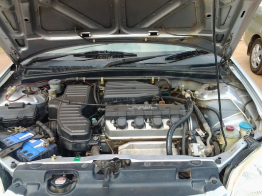 ขายคับ ขายคับ