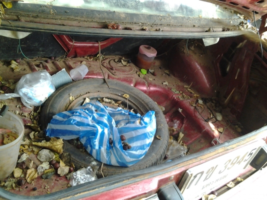 NISSAN SUNY B11 เพาเวอร์ ไฟฟ้า แอร์เย็น เครื่อง 1.3 ภาษีเต็ม เช็ค0ตลอด รถมือเดียว อีกมือจิบเบียร์ NISSAN SUNY B11 เพาเวอร์ ไฟฟ้า แอร์เย็น เครื่อง 1.3 ภาษีเต็ม เช็ค0ตลอด รถมือเดียว อีกมือจิบเบียร์