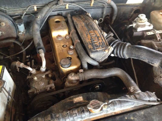 ขาย มังกรทอง 87แรง