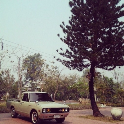 ดัสสันช้างเหยียบ 620