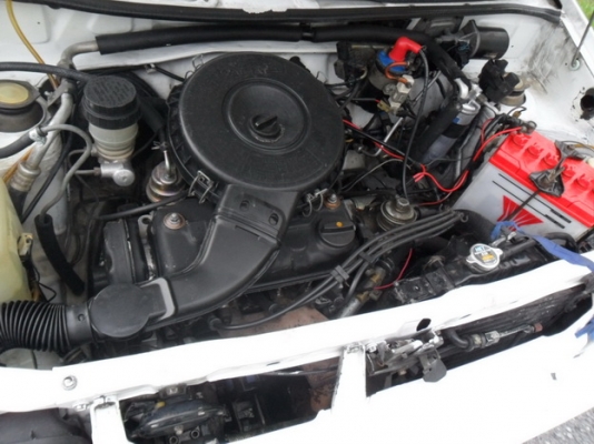 ขายเจ้า MIRA ตัวน้อย