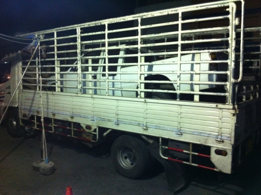 จองแล้ว ขายรถอุบัติเหตุอีซูซุ 90HP-SL ปี-1993 มือเดียวออกห้าง จองแล้ว ขายรถอุบัติเหตุอีซูซุ 90HP-SL ปี-1993 มือเดียวออกห้าง