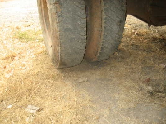 ISUZU   ROCKY    175  แรง   700,000 บาท