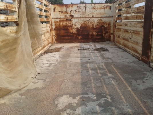 หางพ่วงคอก