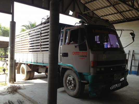 ขายISUZU FSR เครื่องส้ม6BG1 175แรง ยาว5.2 เมตร พ.เพาเวอร์ เบรคจิฟฟี่ แอร์เย็นสภาพสวยไม่ผุ คัทซีสวย ยาง9.00ขอบ20