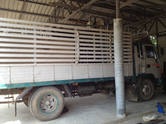 ขายISUZU FSR เครื่องส้ม6BG1 175แรง ยาว5.2 เมตร พ.เพาเวอร์ เบรคจิฟฟี่ แอร์เย็นสภาพสวยไม่ผุ คัทซีสวย ยาง9.00ขอบ20 ขายISUZU FSR เครื่องส้ม6BG1 175แรง ยาว5.2 เมตร พ.เพาเวอร์ เบรคจิฟฟี่ แอร์เย็นสภาพสวยไม่ผุ คัทซีสวย ยาง9.00ขอบ20