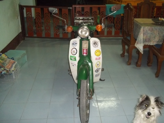 ขายC70ถังแยกแฮนตรงทะเบียนเต็มโอนได้