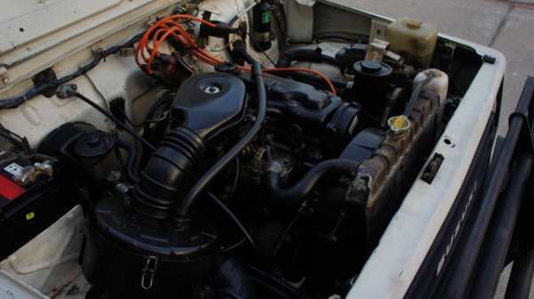 ขายคาริเบี้ยนเดิมๆสวยๆ1 ขายคาริเบี้ยนเดิมๆสวยๆ1