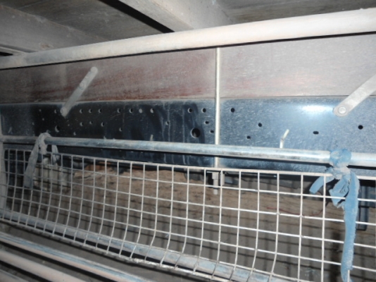 -ขาย   NPR130สวยจัดมากถูกๆ