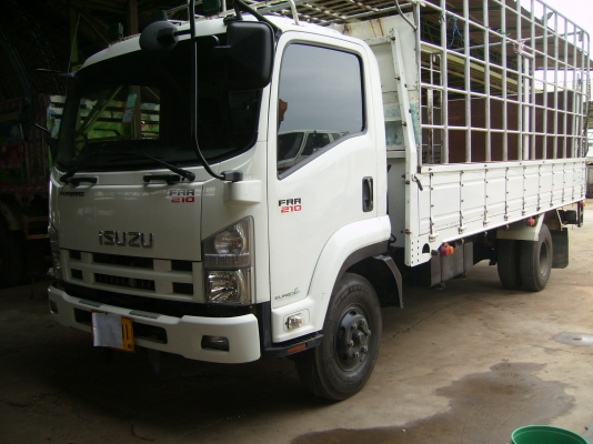 6ล้อISUZU FRR210 กระบะคาร์โก้5.50
