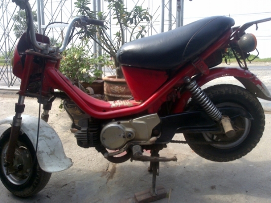 ขาย yamaha chappy แห้งๆ