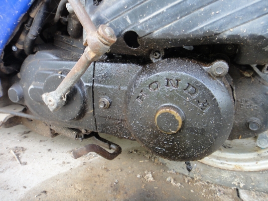 รถป๊อบ ฮอนด้า Dio