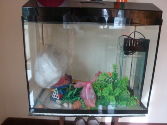 ขายตู้เลี้ยงปลาครับ