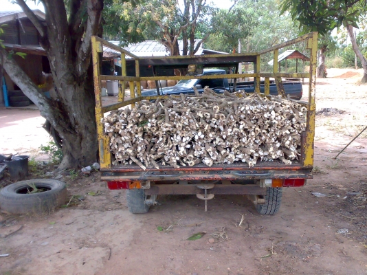 ขายรถ คุณแต๋น