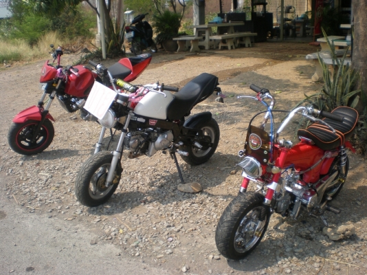 ขาย Honda Dax เครื่องไลฟาน 110 cc. เพื่อให้ท่านที่กำลังมองหาอยากเอาไว้ขี่สักคัน ในราคาสุดคุ้ม 12,500 บาท (ราคานี้ไม่รวมส่งนะคร๊าบ)