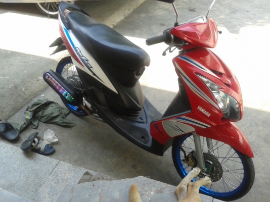 มีโอลูกโช