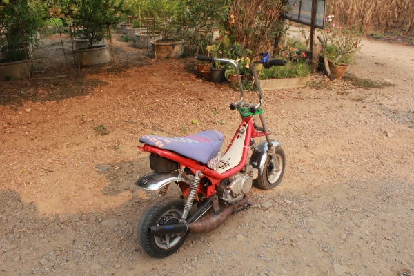 ชิปปี้ เครื่อง RC มีเล่ม พร้อมใช้