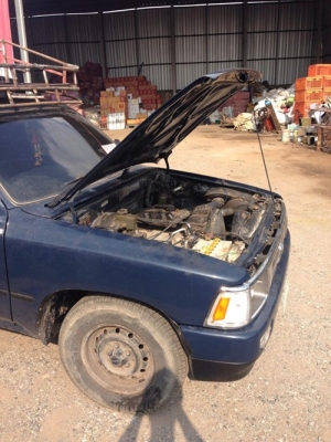 ขายไมตี้ตอนเดียวพร้อมใช้