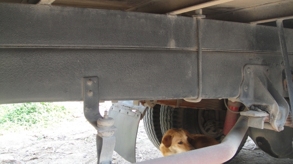 ็HINO FF175 ห้างแท้มือเดียวตั้งแต่ป้ายแดง รถสวยมาก