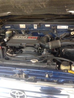 ขายไทเกอ