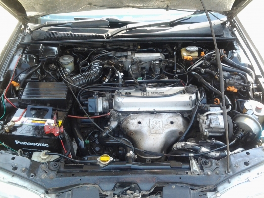 ตาเพชรแต่งเตี้ย ภายในญี่ปุ่น