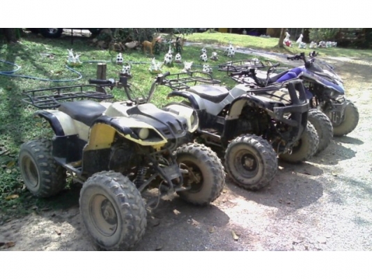 ATV 150 cc ตามสภาพหลายคัน ราคา 15000 - 35000