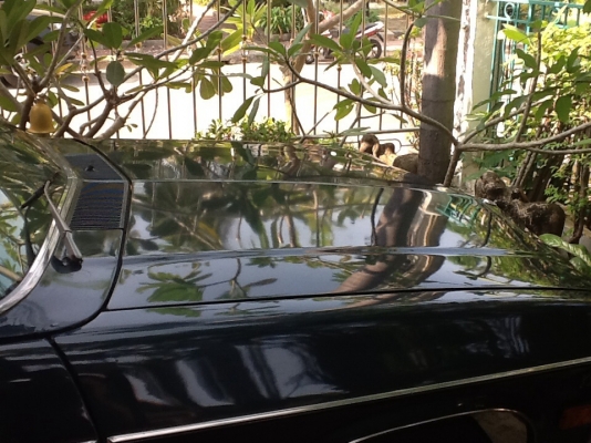 โฮลเดิ้ล คิงส์วูด ออโต เครื่อง 1 J โฮลเดิ้ล คิงส์วูด ออโต เครื่อง 1 J