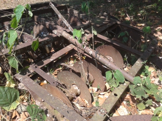 จานลากรถไถนา พร้อมใช้งาน จานลากรถไถนา พร้อมใช้งาน