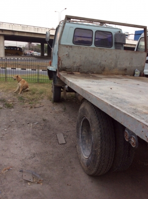 ขายรถ Isuzu 6 ล้อ ขายรถ Isuzu 6 ล้อ