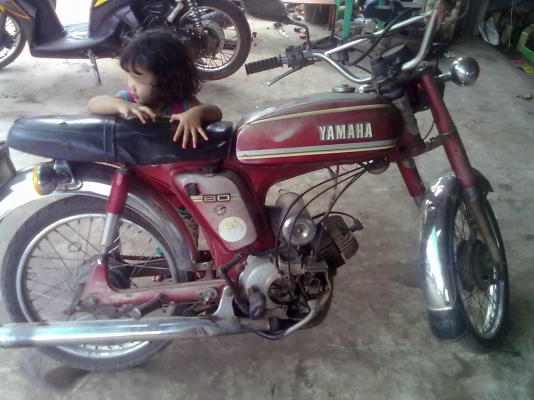 ขาย yamaha 80 ตัวผู้
