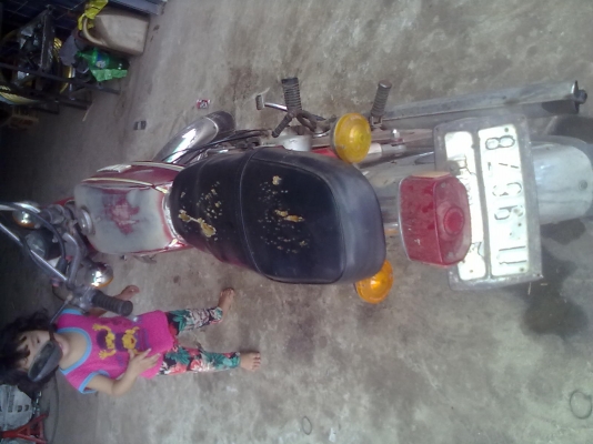 ขาย yamaha 80 ตัวผู้