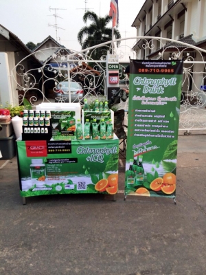 แฟรนไชส์คลอโรฟิลล์ รายได้ดี แฟรนไชส์คลอโรฟิลล์ รายได้ดี