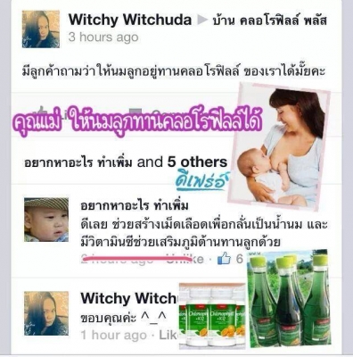 คลอโรฟิลล์ พลัส ICQ