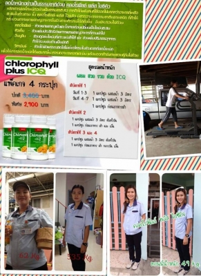 คลอโรฟิลล์ พลัส ICQ