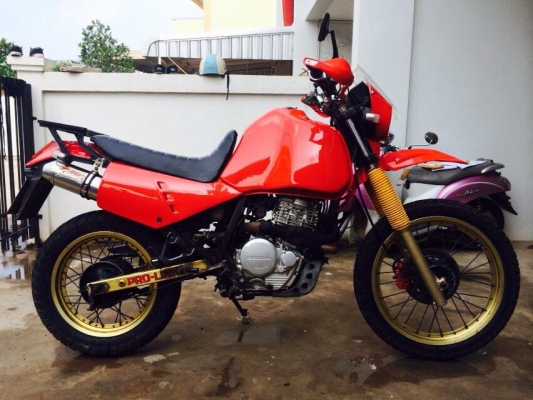 อัพเดทลงขายใหม่  ขาย xl600 ปารีสดาร์การ์ รถหายากในตำนาน