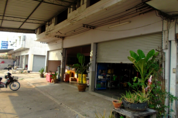 ขายด่วนตึกพานิช2ชั้นครึง3ห้องทําเลดีเหมาะสํารับคา้ขาย ขายด่วนตึกพานิช2ชั้นครึง3ห้องทําเลดีเหมาะสํารับคา้ขาย