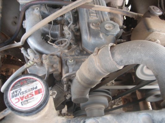 ดั้ม หัวยาว   145 แรง  6ฺฺ bb