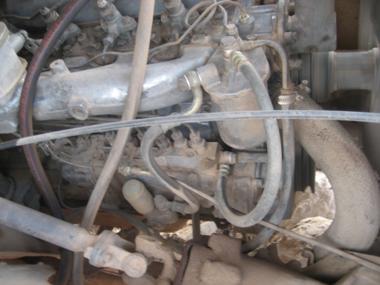 ดั้ม หัวยาว   145 แรง  6ฺฺ bb