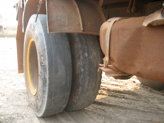 ดั้ม หัวยาว   145 แรง  6ฺฺ bb