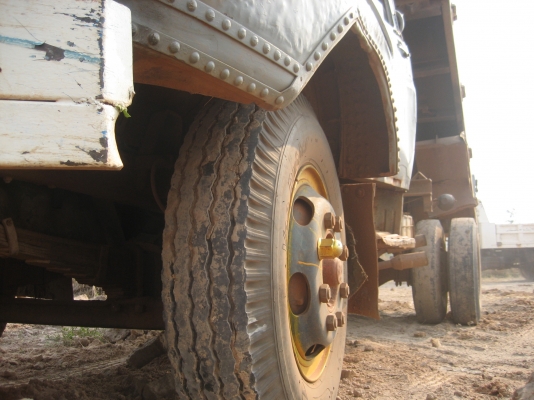 ดั้ม หัวยาว   145 แรง  6ฺฺ bb