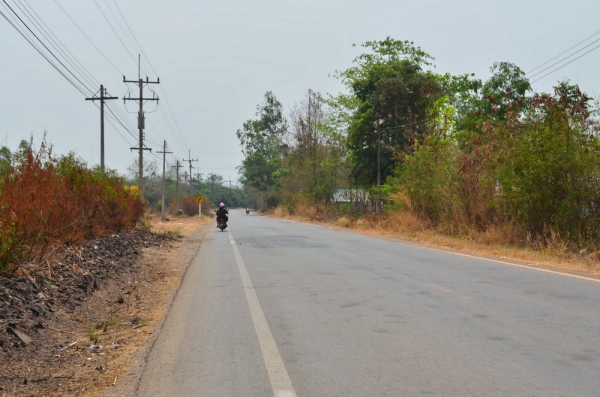 ขายที่ดินเกษตร 17 ไร่ 3 งาน ขายที่ดินเกษตร 17 ไร่ 3 งาน