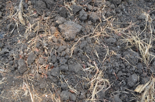 ขายที่ดินเกษตร 17 ไร่ 3 งาน ขายที่ดินเกษตร 17 ไร่ 3 งาน