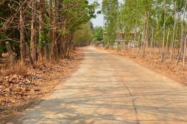 ขายที่ดินเกษตร 17 ไร่ 3 งาน ขายที่ดินเกษตร 17 ไร่ 3 งาน