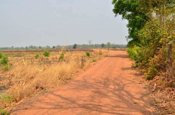 ขายที่ดินเกษตร 17 ไร่ 3 งาน ขายที่ดินเกษตร 17 ไร่ 3 งาน