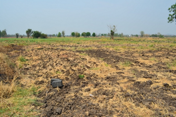 ขายที่ดินเกษตร 17 ไร่ 3 งาน ขายที่ดินเกษตร 17 ไร่ 3 งาน