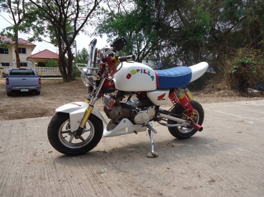 --ขายกอลิล่าญี่ปุ่น สภาพนางฟ้า --