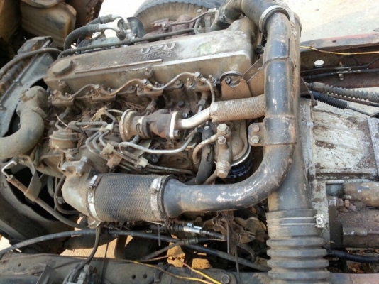 รถอีซูซุ 6 ล้อ FTR 200 แรงม้า ปี 48 ( ขายหัว คัชซี ) ( มีขาย 4 คัน. ) สนใจติดต่อ 081 - 6079515 รถอีซูซุ 6 ล้อ FTR 200 แรงม้า ปี 48 ( ขายหัว คัชซี ) ( มีขาย 4 คัน. ) สนใจติดต่อ 081 - 6079515