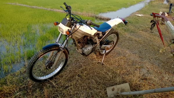 ขายรถไต่เขา honda tlr250