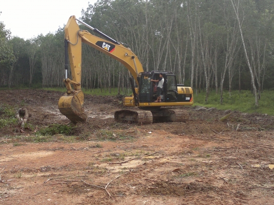ขายดาวน์แบคโฮ CAT 320 D