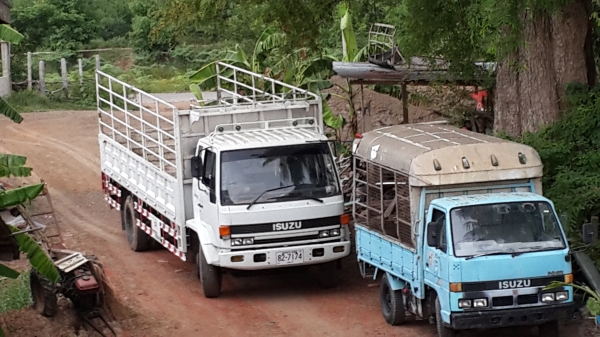 isusu 6 รับจ้างครับ